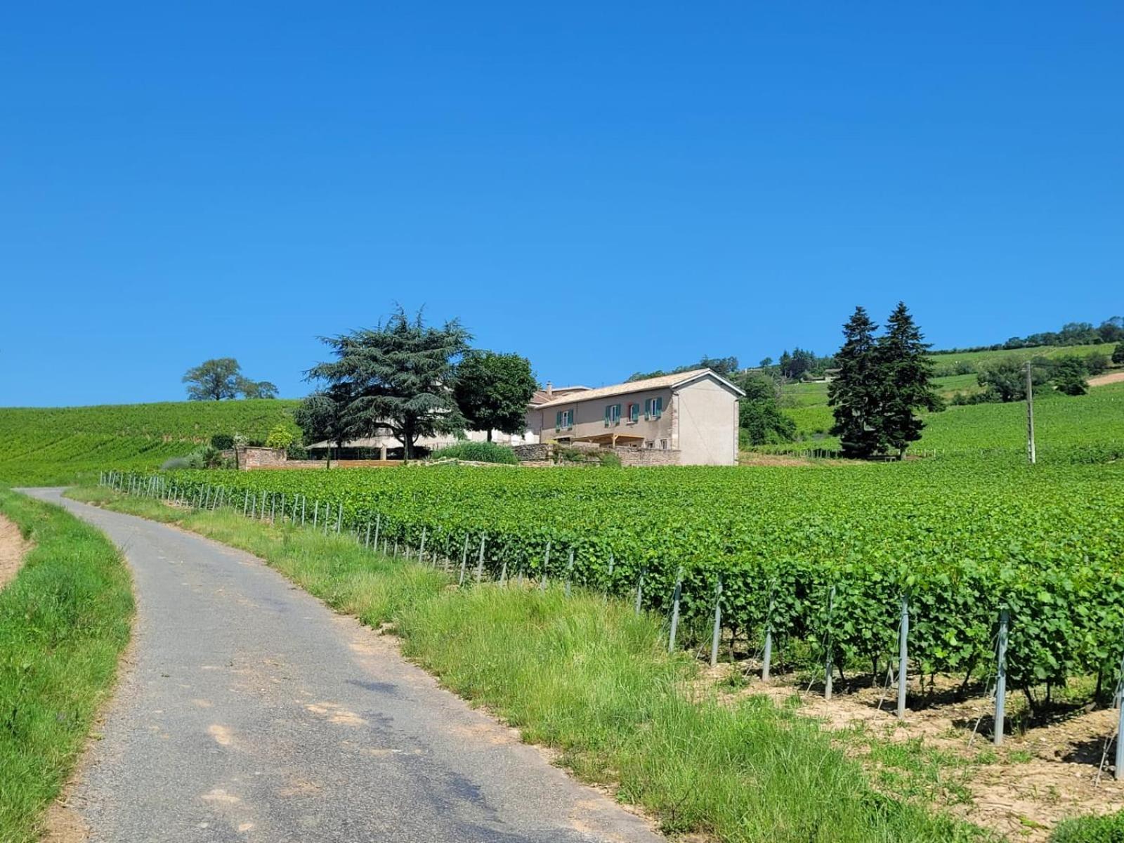 La Maison De Bruno Juliénas Esterno foto